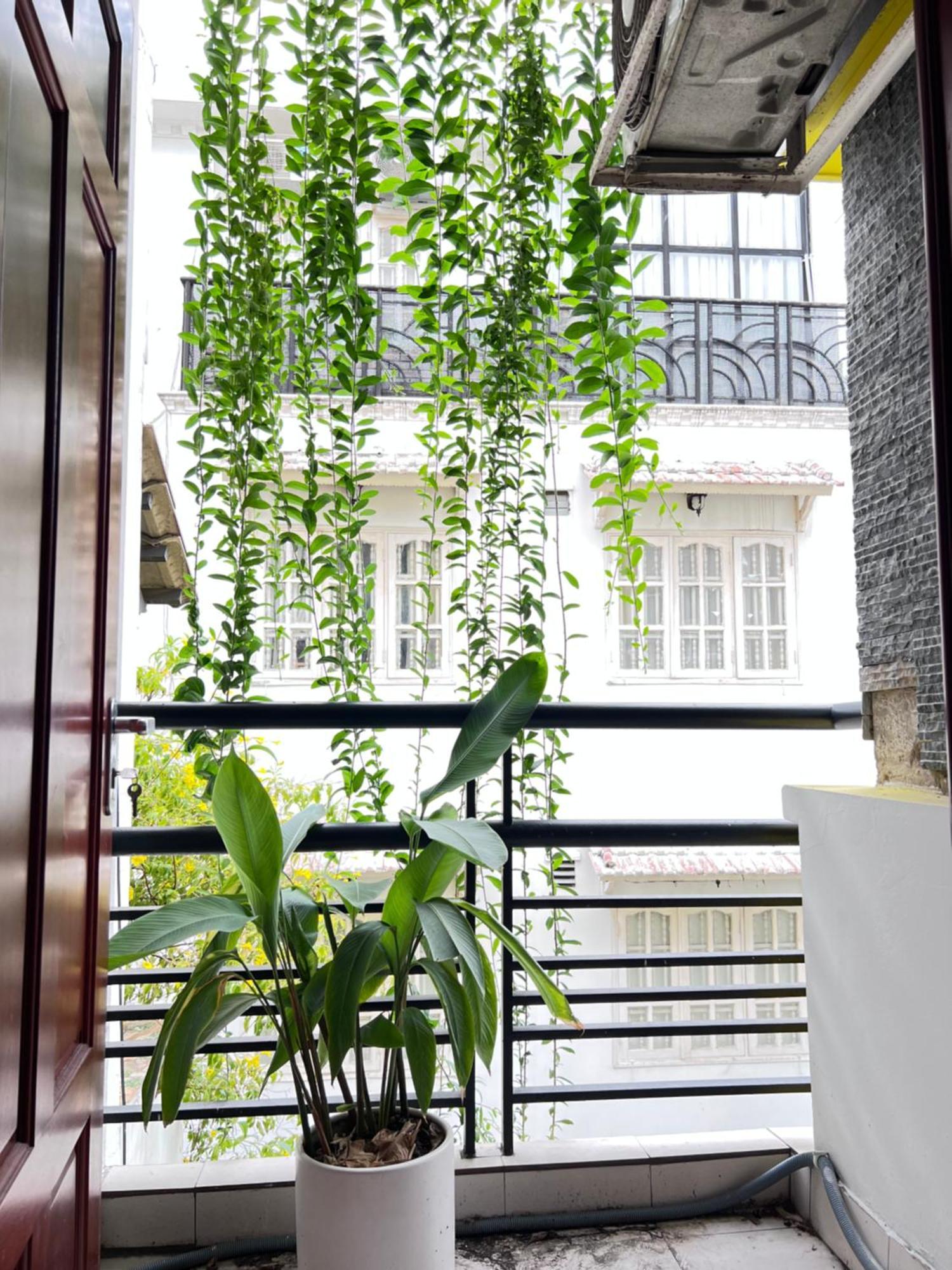 Co Homestay Saigon Хошимин Екстериор снимка